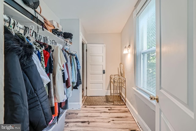 spacious closet with light hardwood / wood-style flooring