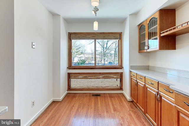 kitchen with light hardwood / wood-style flooring and hanging light fixtures