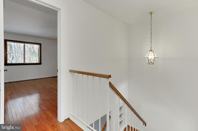 staircase featuring wood-type flooring