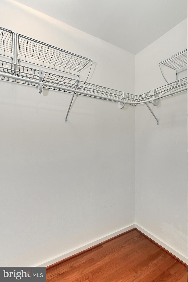 walk in closet featuring wood-type flooring