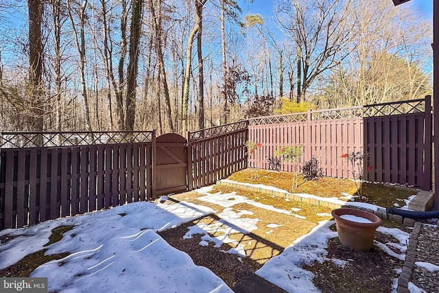 view of yard covered in snow