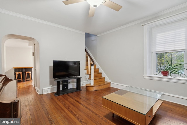 living room with hardwood / wood-style floors, ceiling fan, and crown molding