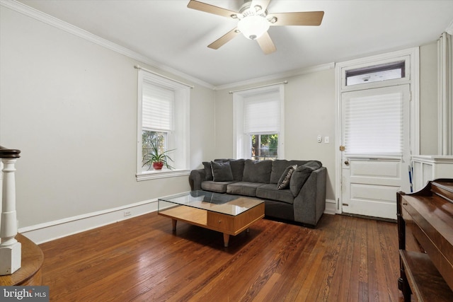 living room featuring ornamental molding, a healthy amount of sunlight, dark hardwood / wood-style floors, and ceiling fan