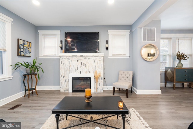 living room featuring hardwood / wood-style floors and a wealth of natural light