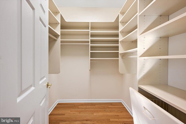 spacious closet with wood-type flooring