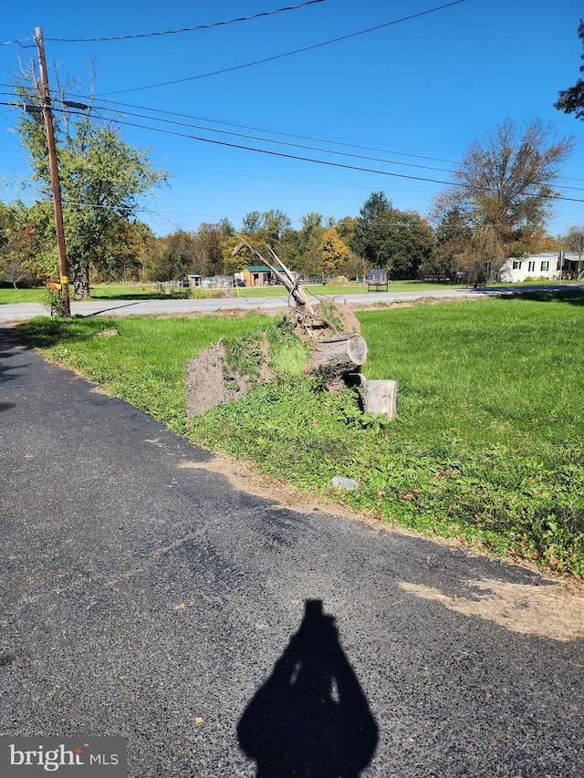 2315 Table Rock Rd, Biglerville, PA 17307 - view of green lawn