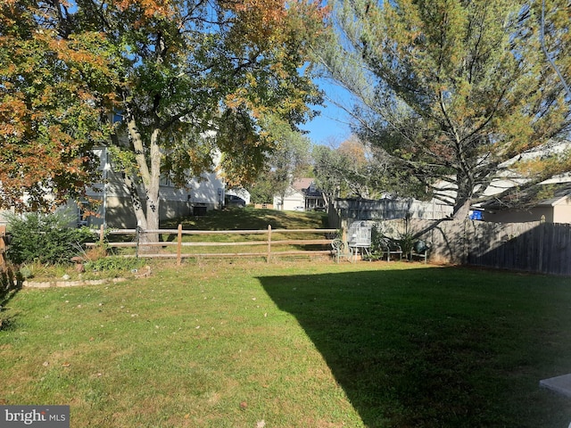 view of yard