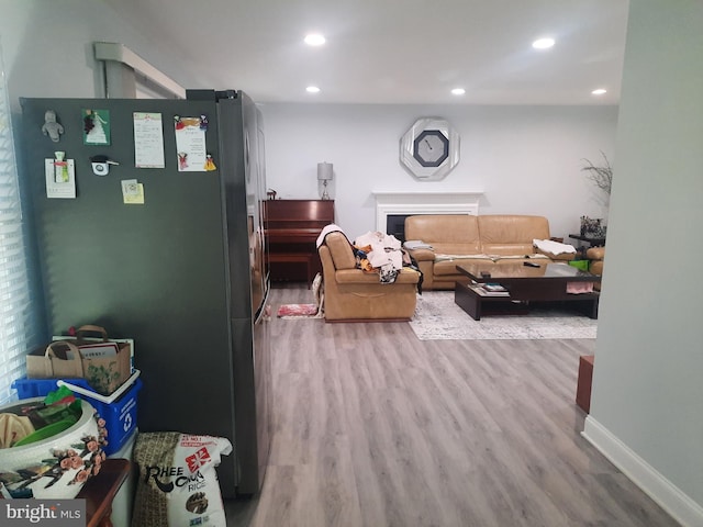 living room featuring wood-type flooring