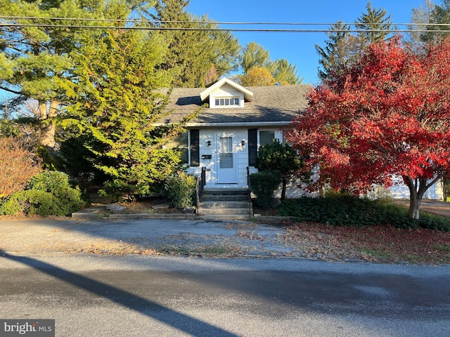 view of front facade featuring a shingled roof