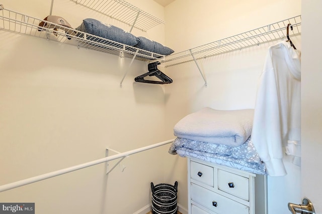 view of spacious closet