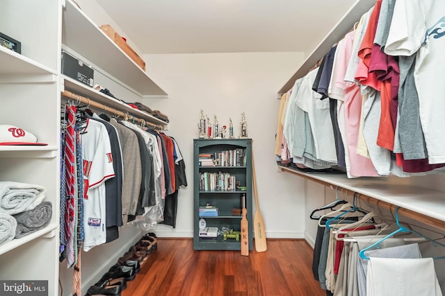 spacious closet with dark hardwood / wood-style floors