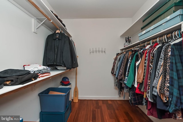 spacious closet with dark hardwood / wood-style flooring