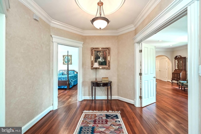 hall featuring ornamental molding and dark wood-type flooring