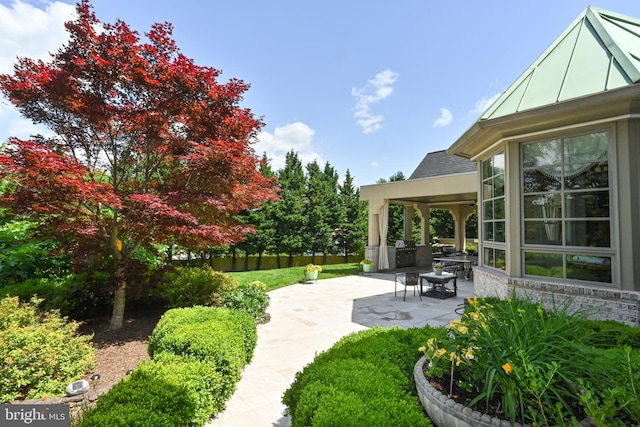 view of yard with a patio area