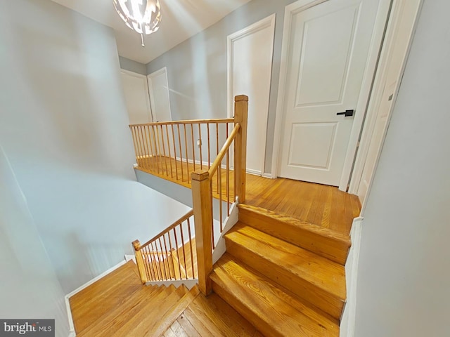 staircase featuring wood-type flooring