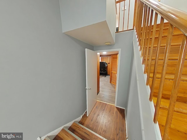 staircase with wood-type flooring