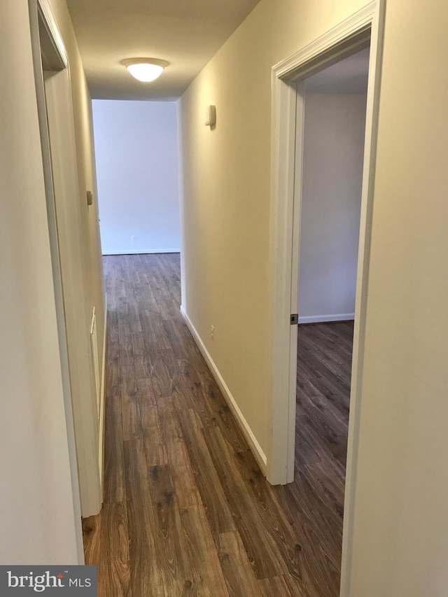 corridor featuring dark hardwood / wood-style flooring