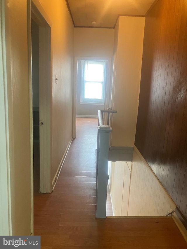 hallway featuring hardwood / wood-style flooring and wooden walls