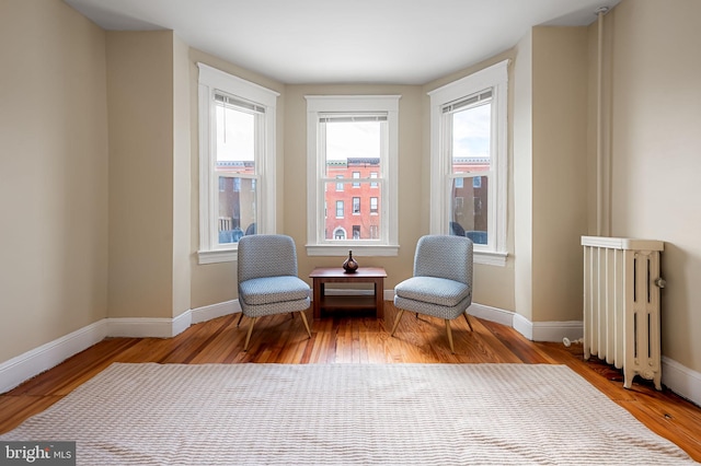 sitting room with light wood-type flooring and radiator heating unit