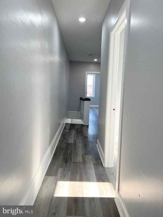 hallway featuring dark wood-type flooring