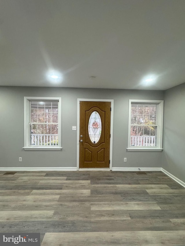 foyer featuring hardwood / wood-style floors and a wealth of natural light