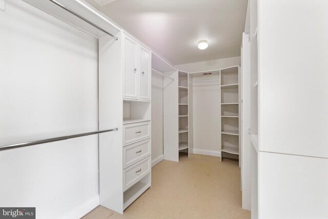 walk in closet featuring light colored carpet