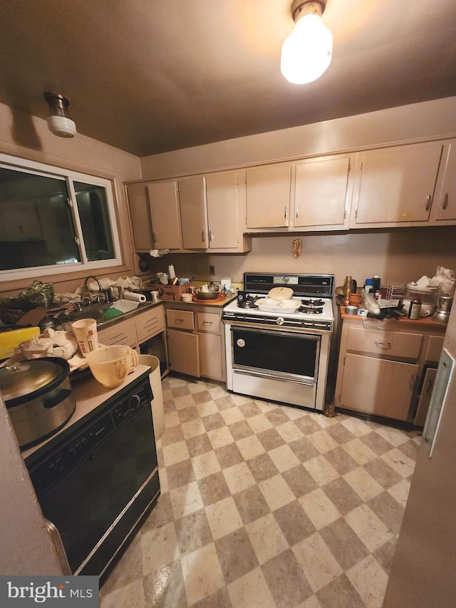 kitchen featuring dishwasher and range