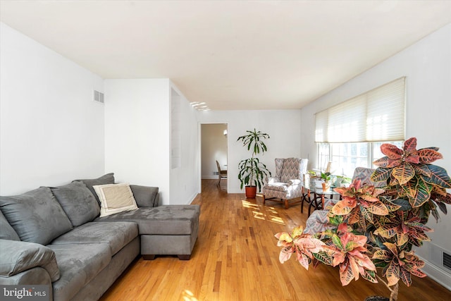 living room featuring light hardwood / wood-style floors