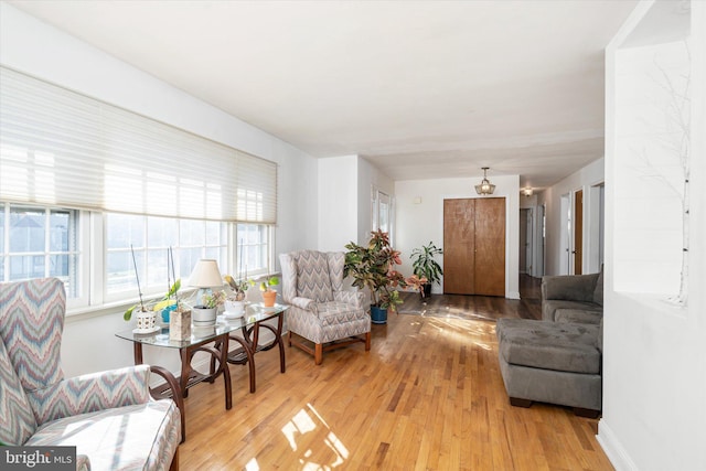 living room with light hardwood / wood-style floors