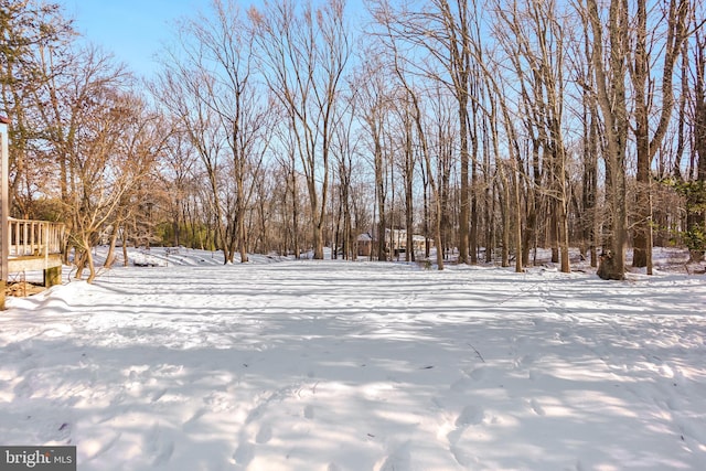 view of yard covered in snow