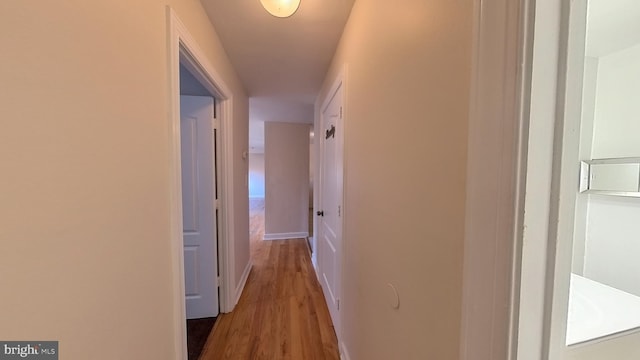 hallway featuring wood-type flooring