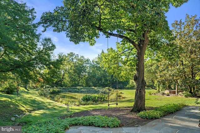 view of home's community with a water view and a yard