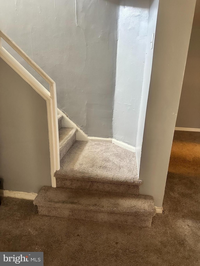 stairs with carpet flooring