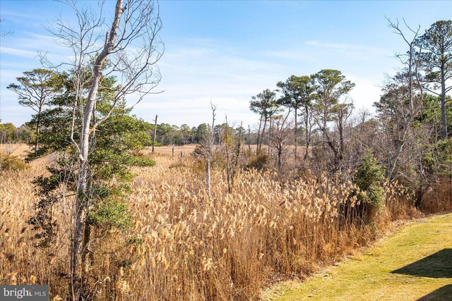 view of landscape