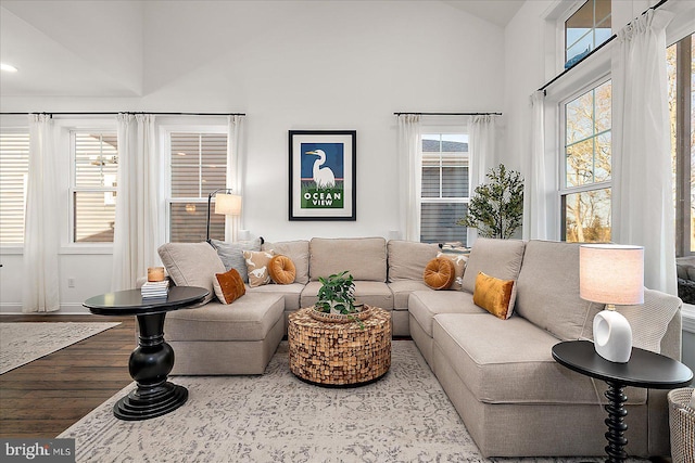 living room featuring lofted ceiling and wood finished floors