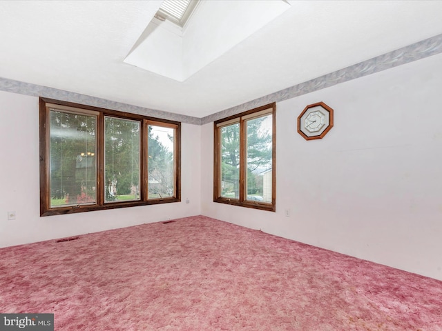 empty room featuring carpet flooring and a skylight