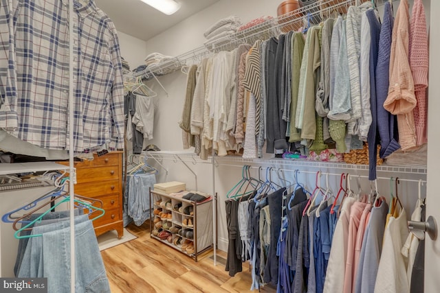 spacious closet featuring wood-type flooring