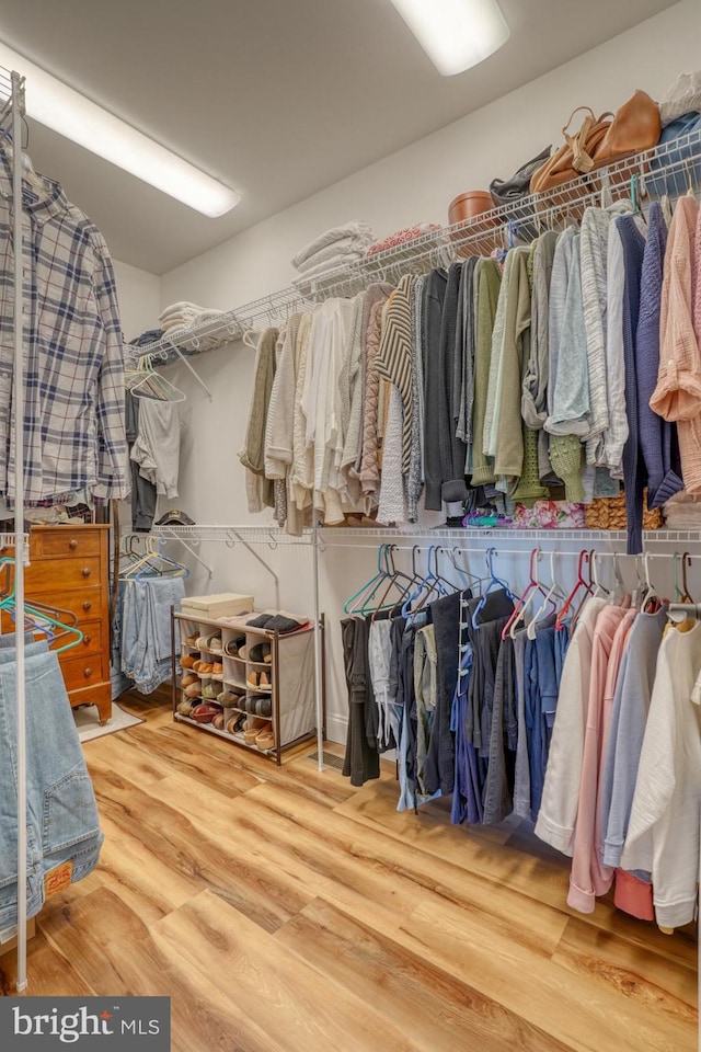 walk in closet featuring hardwood / wood-style flooring