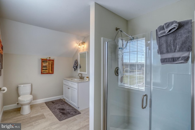 bathroom with vanity, a healthy amount of sunlight, vaulted ceiling, and a shower with shower door