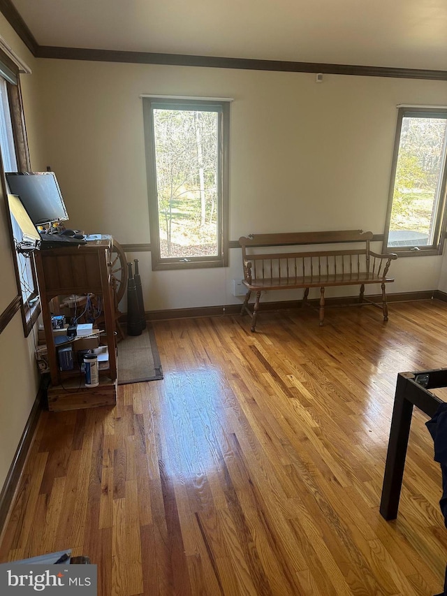 interior space featuring wood-type flooring and ornamental molding