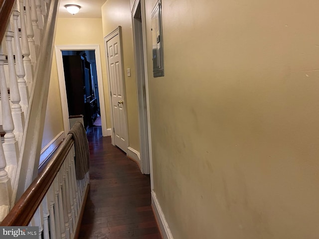 hall featuring dark hardwood / wood-style flooring and electric panel