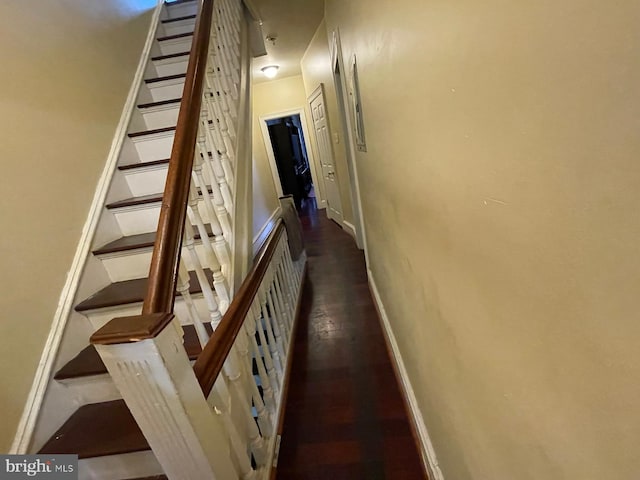 staircase with hardwood / wood-style flooring