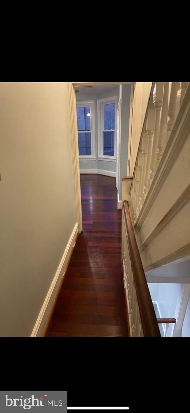 staircase with hardwood / wood-style floors