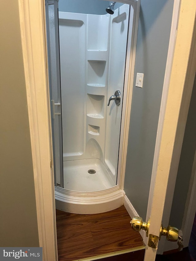 bathroom with a shower and wood-type flooring