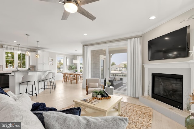 living room with light wood-type flooring, a wealth of natural light, and ornamental molding