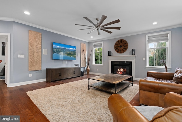 living room with crown molding, ceiling fan, and dark hardwood / wood-style floors