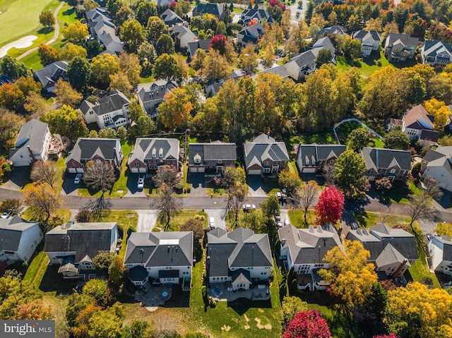 bird's eye view