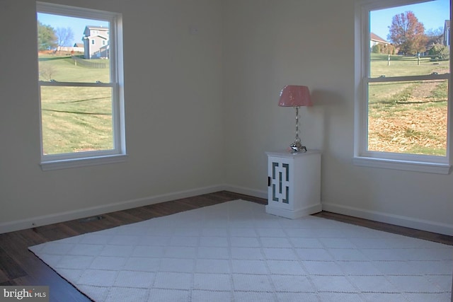 empty room with a wealth of natural light and hardwood / wood-style flooring