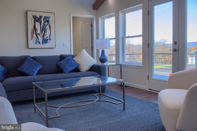 living room with a healthy amount of sunlight and wood-type flooring