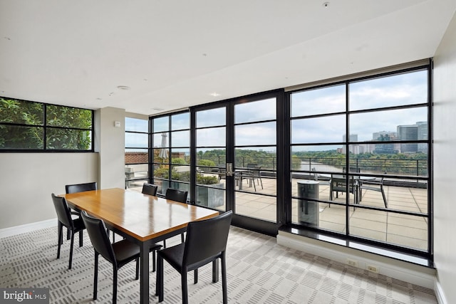 carpeted dining area with a wealth of natural light